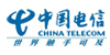 SAP客户-中国电信
