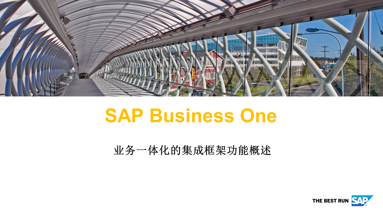 SAP Business One,SAP业务一体化,SAP Business One功能概述