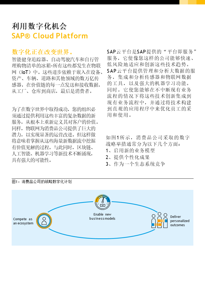 SAP消费品解决方案,SAP Cloud Platform,智能ERP解决方案