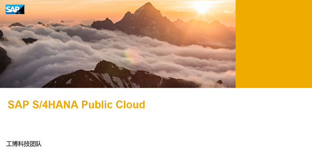 SAP S/4HANA Public Cloud 方案简介