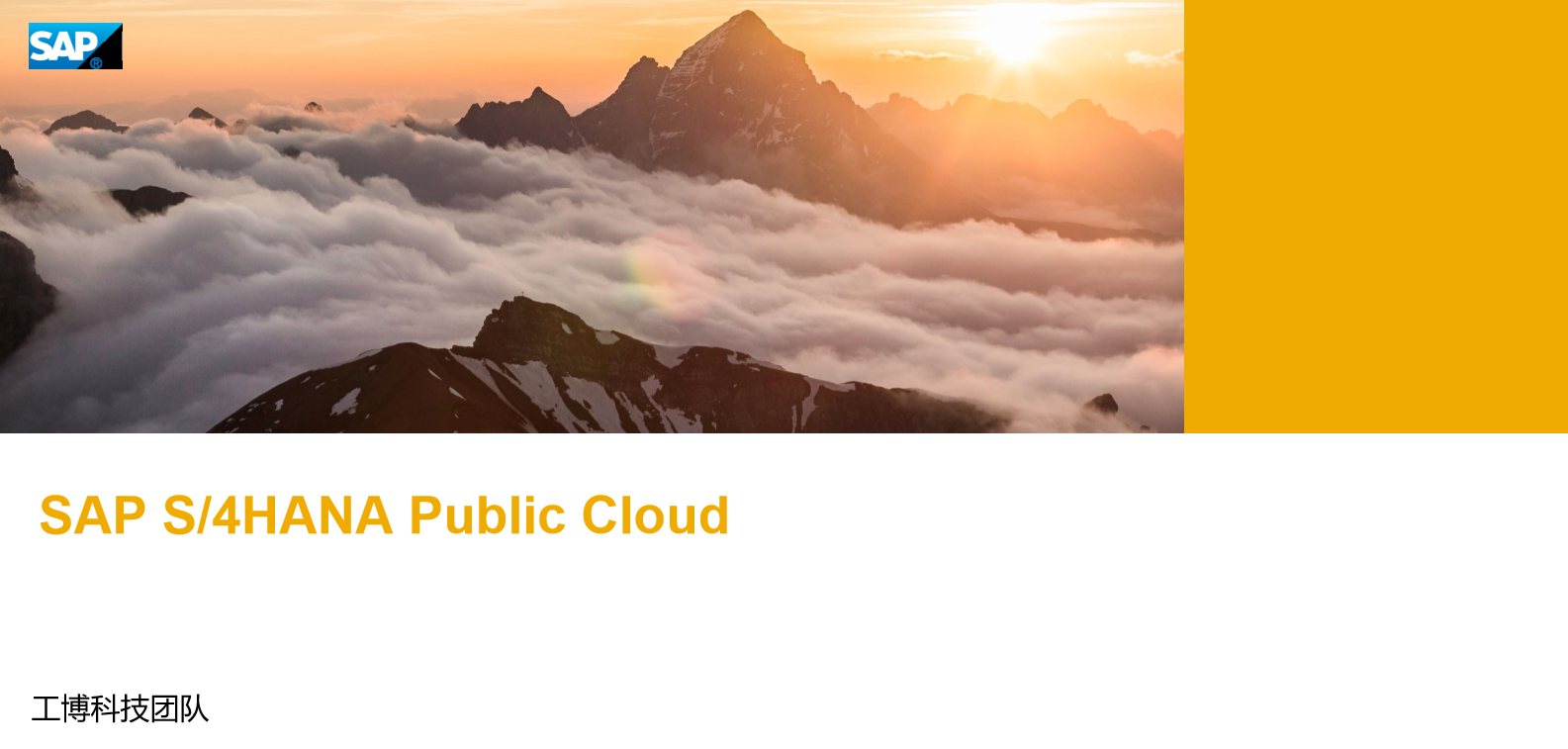 SAP S/4HANA Public Cloud 