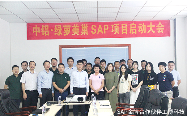 美巢家居ERP,绿萝美巢ERP,中国铝业集团ERP,SAP Business One系统，中铝·绿萝美巢SAP ERP项目