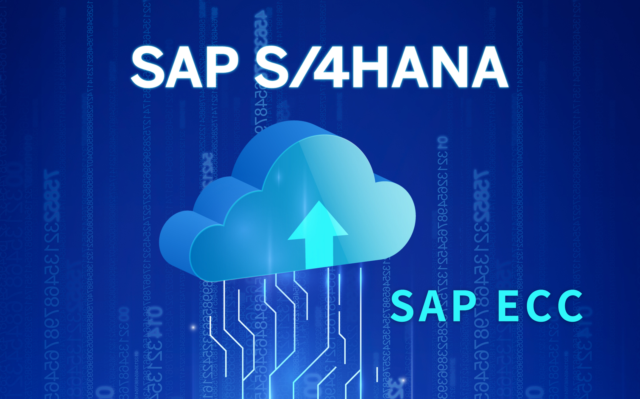 为什么要“RISE with SAP”?