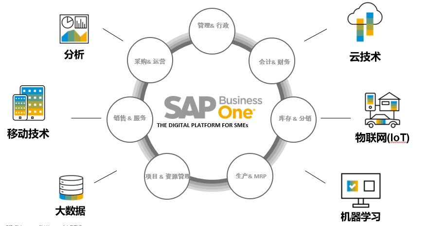 SAP Business One 内部报告泄露，实力派IT人看后震惊了！