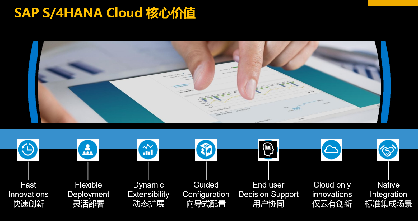 SAP S/4HANA Public Cloud 