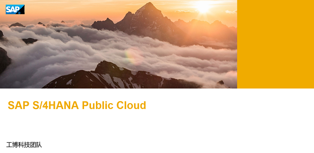 SAP S/4HANA Cloud Public Edition 方案简介