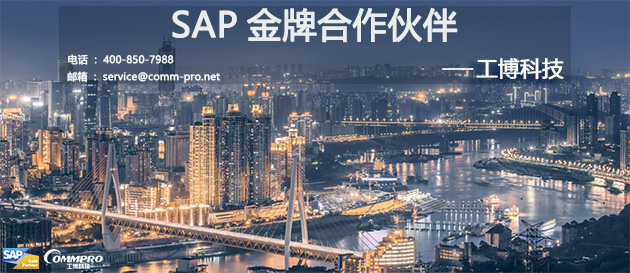 重庆有哪些SAP实施公司？