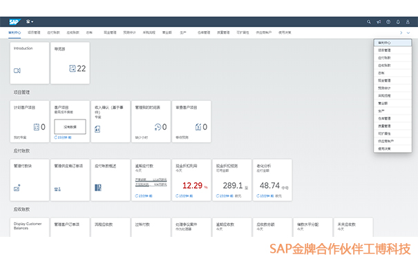 SAP S/4HANA Cloud模块