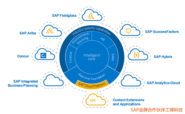SAP S/4HANA Cloud功能