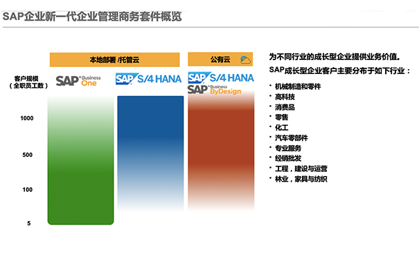 SAP云ERP,SAP云解决方案,SAP公有云产品,SAP S/4HANA Cloud私有云版本,RISE with SAP解决方案包