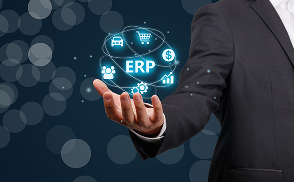 ERP系统实施,ERP实施关键点,ERP专业人员,ERP实施成功标准