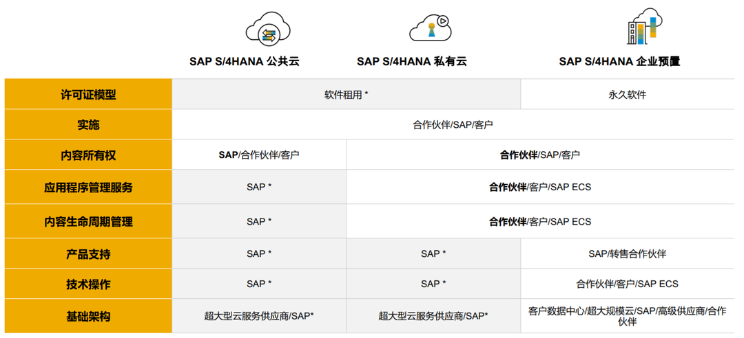 SAP公有云