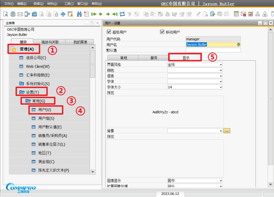 SAP B1用户界面设置