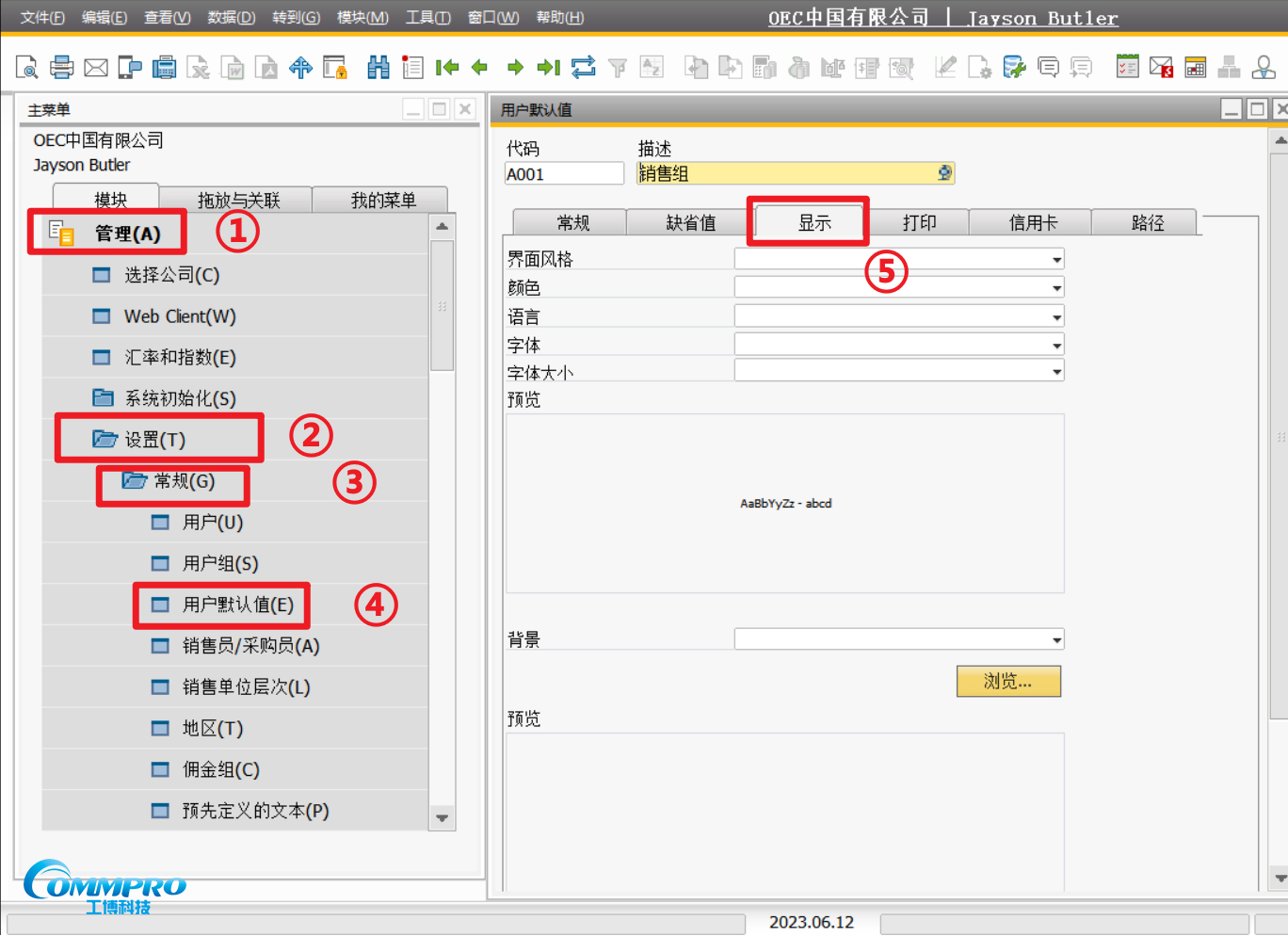 SAP B1操作教程