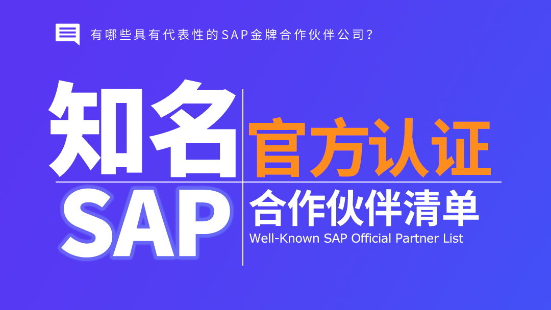 国内外有哪些具有代表性的SAP金牌合作伙伴公司