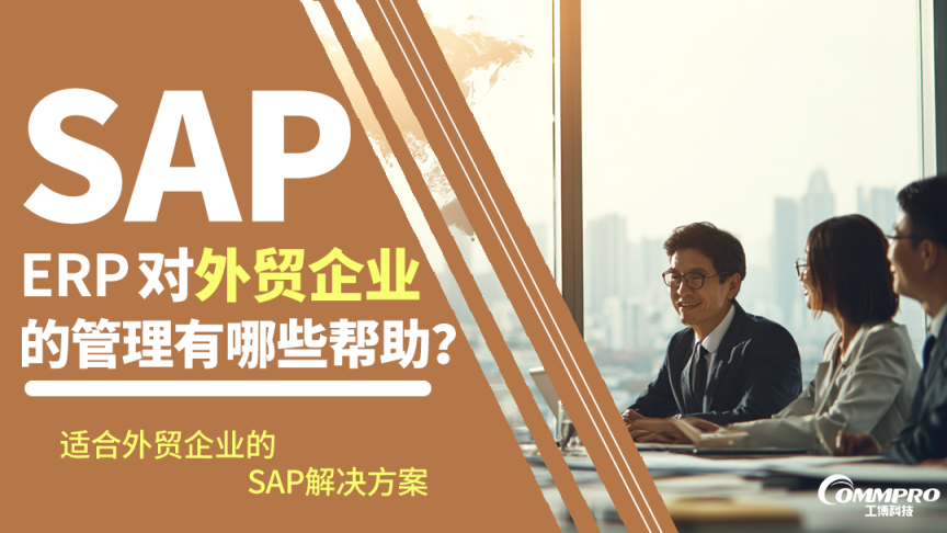 SAP ERP外贸企业解决方案