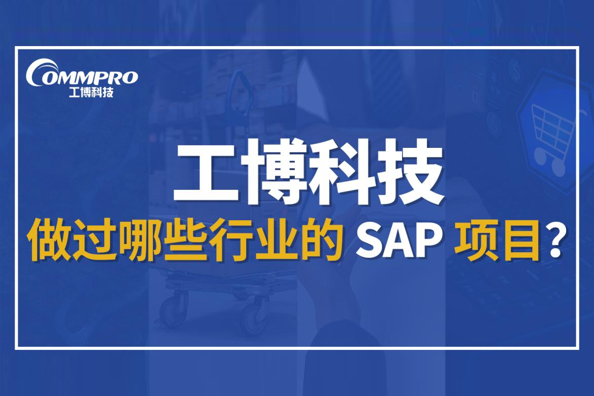  SAP金牌合作伙伴